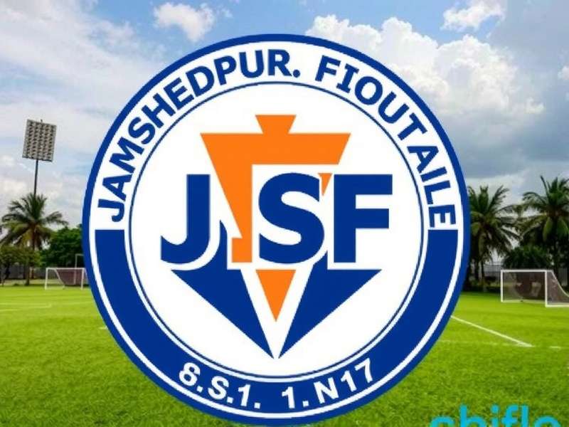 Professional footballs for match play